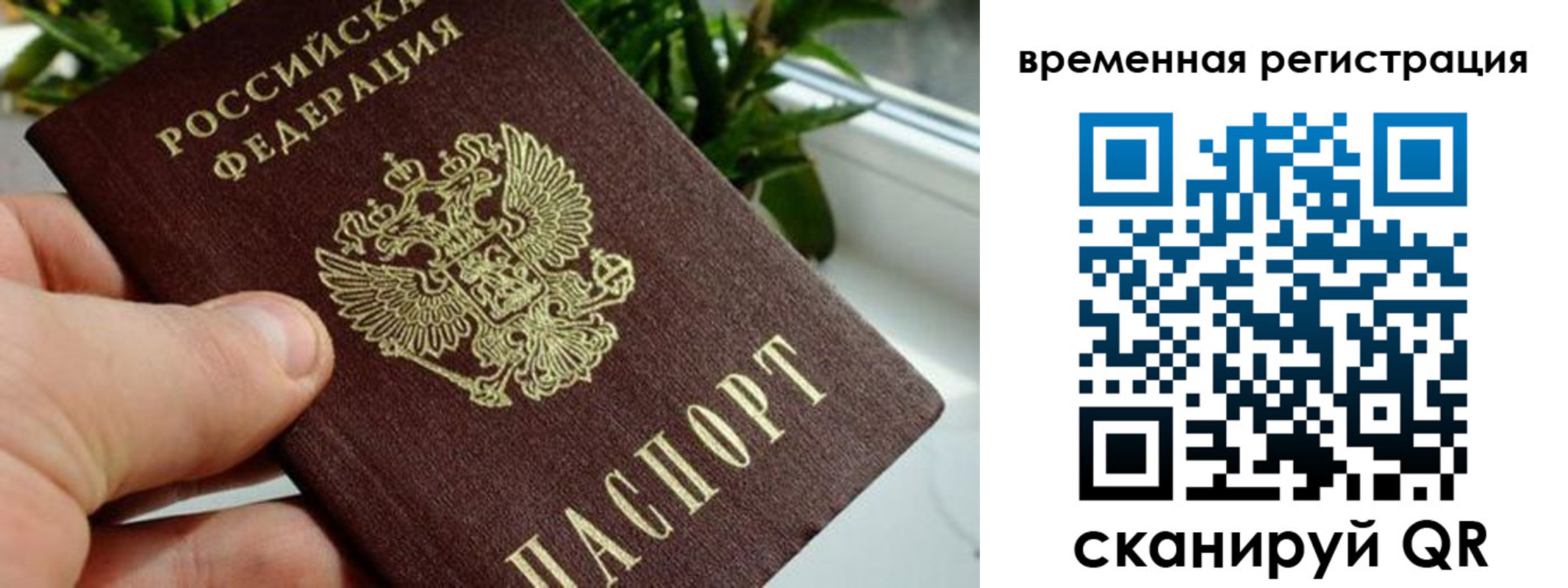 прописка поиск в Октябрьском